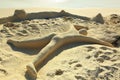 Cute sand sculpture representing a human laying on the beach with face down. Aruba island. Caribbean. Royalty Free Stock Photo