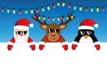 Cute santa reindeer and penguin with sunglasses and christmas fairy lights Royalty Free Stock Photo