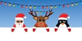 cute santa reindeer and penguin with sunglasses and christmas fairy lights white banner Royalty Free Stock Photo