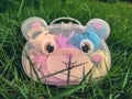 cute sanvat rubber bag on the grass Royalty Free Stock Photo