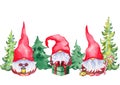 Cute Scandinavian Christmas Gnomes and evergreen forest tree background.