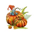 Cute Scandinavian gnome, sitting on pumpkin isolated on white. Tomte gnome, Autumn fern leaves, Physalis buds. Fantasy autumn