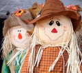 Cute scarecrow Royalty Free Stock Photo