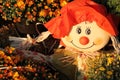 Cute scarecrow Royalty Free Stock Photo