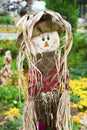 A cute Scarecrow