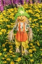 Cute scarecrow in colorful flower garden. Nature background Royalty Free Stock Photo