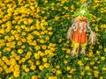 Cute scarecrow in colorful flower garden. Nature background Royalty Free Stock Photo