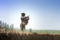 Cute scarecrow in the field Royalty Free Stock Photo