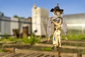 Cute Scarecrow in the garden close-up. Royalty Free Stock Photo