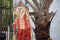 Cute scarecrow surrounded by autumn decorations Royalty Free Stock Photo