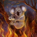 Cute scared koala with a baby koala trying to escape from the burning forest fires in Australia