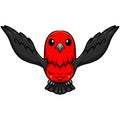 Cute scarlet tanager bird cartoon flying