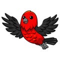 Cute scarlet tanager bird cartoon flying