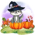 Cute watercolor wolf puppy with witch hat sitting on a pumpkin