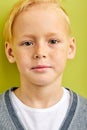 Portrait of diligent caucasian schoolboy looking at camera