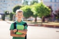 Cute schoolboy outdoors on sunny day. Teenager with his backpack and holding books Royalty Free Stock Photo