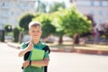 Cute schoolboy outdoors on sunny day. Teenager with his backpack and holding books Royalty Free Stock Photo