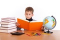 Cute schoolboy is reading a book Royalty Free Stock Photo