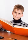 Cute schoolboy is reading a book Royalty Free Stock Photo