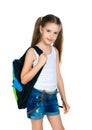 Cute schoolchild with knapsack