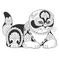 Cute Scottish fold cat design