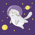 Cute scottishfold cat astronaut on starry space Royalty Free Stock Photo