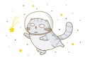 Cute scottishfold cat astronaut Royalty Free Stock Photo
