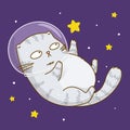 Cute scottishfold cat astronaut on starry space Royalty Free Stock Photo