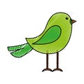 Cute scribble bird cartoon