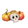 Cute scull and pumpkins, isolated on white background, suitable for halloween cards, stickers and decoration.