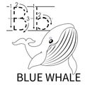 Cute Sea Animal Alphabet Series. B is for blue whale. Vector cartoon character design illustration Royalty Free Stock Photo