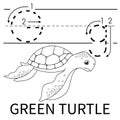 Cute Sea Animal Alphabet Series. G is for green turtle. Vector cartoon character design illustration Royalty Free Stock Photo