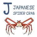 Cute Sea Animal Alphabet Series. J is for Japanese spider crab.