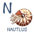 Cute Sea Animal Alphabet Series. N is for Nautilus. Royalty Free Stock Photo