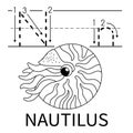 Cute Sea Animal Alphabet Series. N is for Nautilus. Vector cartoon character design illustration Royalty Free Stock Photo