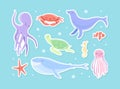 Cute Sea Animal and Underwater Mammal Floating in the Ocean Stickers Vector Set Royalty Free Stock Photo