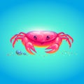 Cute sea crab in bright cartoon style. Symbol of summer vocations