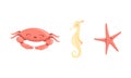 Cute Sea Creatures Set, Seahorse, Crab, Starfish Cartoon Vector Illustration Royalty Free Stock Photo