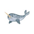 Cute sea narwhal-watercolor illustration isolated on white background