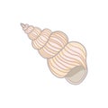 Cute pink sea shell. Hand drawn illustration vector. Royalty Free Stock Photo