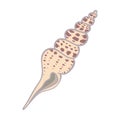 Cute pink sea shell. Hand drawn illustration vector. Royalty Free Stock Photo