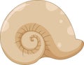 Cute sea shells cartoon for you design