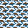 Cute sea turtle stripe cartoon seamless vector pattern. Hand drawn endangered ocean life tile Royalty Free Stock Photo