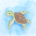Cute Sea Turtle Swim Under Ocean Royalty Free Stock Photo