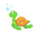 Cute Sea Turtle Turquoise Oceanlife Vector Art Royalty Free Stock Photo