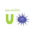 Cute sea urchin card. Alphabet with animals. Colorful design for teaching children the alphabet, learning English Royalty Free Stock Photo
