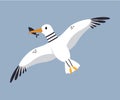 Cute Seagull as Arctic Animal Flying with Fish in Its Bill Vector Illustration Royalty Free Stock Photo