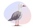 Cute seagull on a gentle background. Detailed summer illustration, print, vector Royalty Free Stock Photo