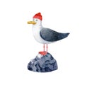 Cute seagull in red fishing hat on the stone Royalty Free Stock Photo