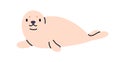 Cute seal, adorable sea calf, dog lying relaxed. Funny aquatic, north water animal. Happy charming baby character